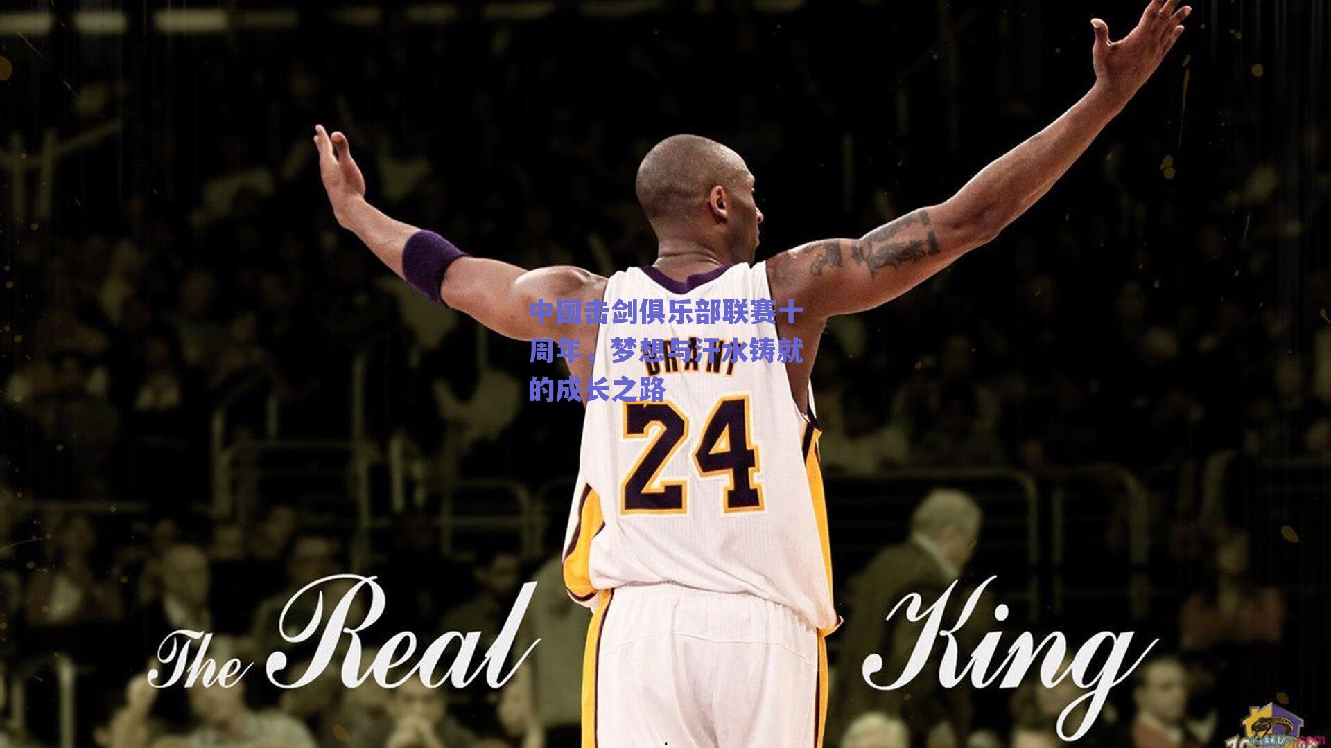 中国击剑俱乐部联赛十周年，梦想与汗水铸就的成长之路